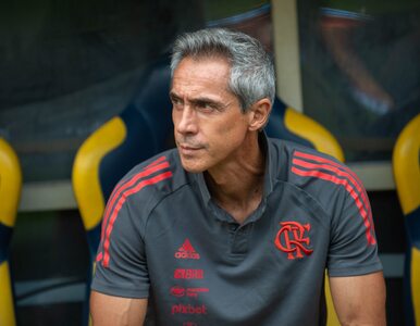 Miniatura: Paulo Sousa zabrał głos po zwolnieniu....