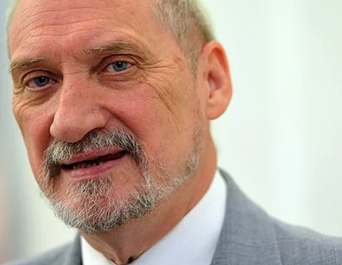 Miniatura: Autor "Nielegalnych": Sąd nad sądem