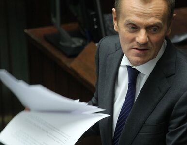 Miniatura: Tusk: do końca roku przedstawimy projekt...