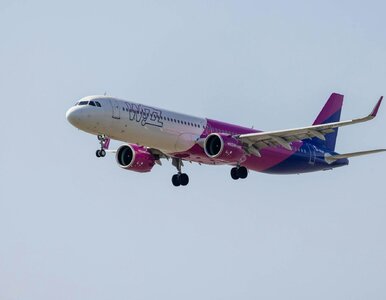 Miniatura: Wizz Air naliczyło tajemniczą opłatę....