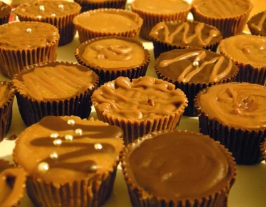 Miniatura: Królowa Elżbieta II ma własny gatunek...