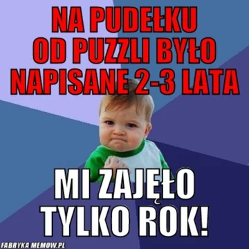 Memy z „success kid” 