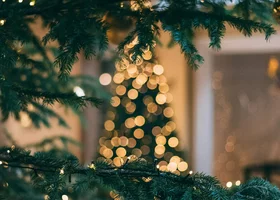 Miniatura: Świąteczny quiz z ortografii. 1/10 to...