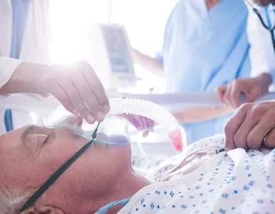 Miniatura: Śmiertelny „supergrzyb” szerzy się w...