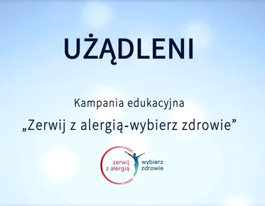 Miniatura: Odczulanie na jad owadów to jedna z...