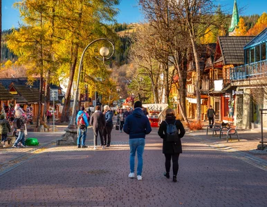 Miniatura: Świetna wiadomość z Tatr. Szlak otwarty...