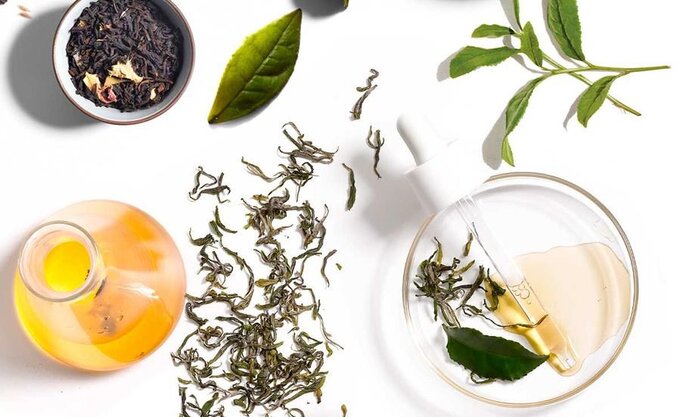 Kosmetyki Teaology są oparte na naparach z prawdziwej herbaty