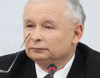 Miniatura: "Kaczyński opowiadał banialuki"
