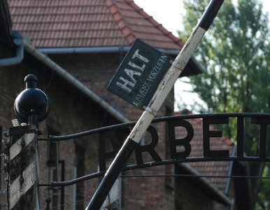 Miniatura: Relacje Polski z Rosją. „Auschwitz za...