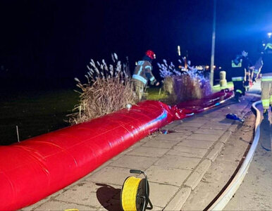 Miniatura: Elbląg na granicy zalania? Władze...