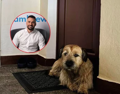 Miniatura: Przez rok mieszkał na klatce. Ta historia...