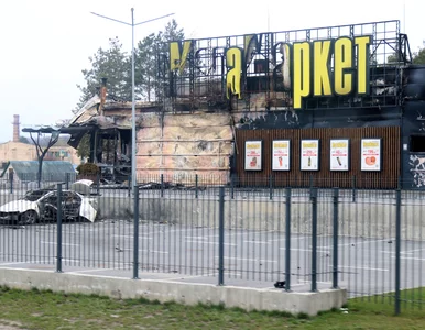 Miniatura: Prawda czy fałsz? Oto 10 popularnych...