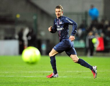 Miniatura: Beckham zostanie w PSG dłużej?
