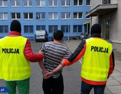 Miniatura: Wspólna akcja polskiej policji i Europolu....
