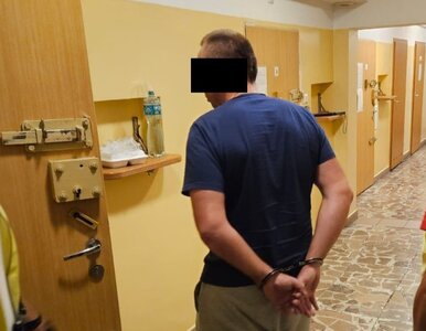 Miniatura: Czy da się pomylić człowieka z dzikiem?...