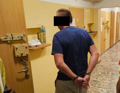 Miniatura: Myśliwy zabił człowieka. Media: To syn...