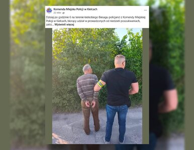 Miniatura: Obława pod Kielcami zakończona. Zatrzymano...