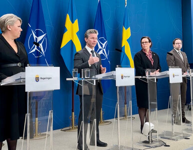 Miniatura: Szwedzkie myśliwce będą patrolować niebo...