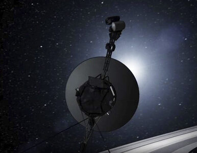 Miniatura: Voyager: Układ Słoneczny jest większy niż...
