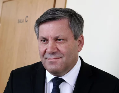 Miniatura: Polityka w Polsce bez PSL?