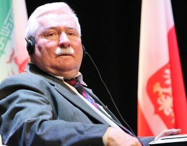 Miniatura: Lech Wałęsa daje opozycji rady na wybory....