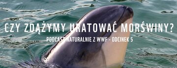 Podcast &bdquo;Naturalnie z&nbsp;WWF&rdquo;