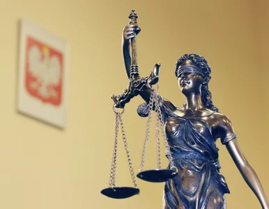 Miniatura: Prawnik mówi, że twojej sprawy „nie można...