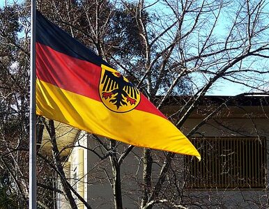 Miniatura: Niemcy: pracownik ministerstwa kradł...