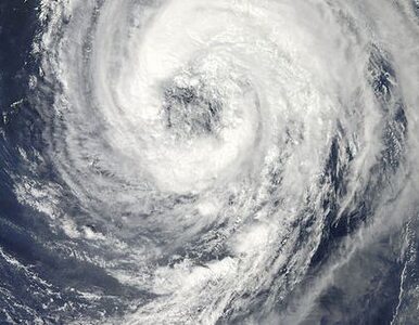 Miniatura: Takiego Tajfunu nie było w Japonii od 28 lat