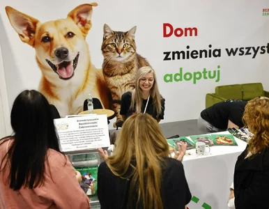 Miniatura: Veterinary Expo Poland 2026 – przyszłość...