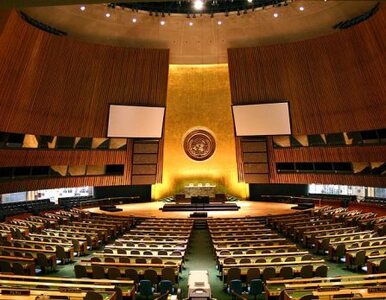 Miniatura: ONZ mobilizuje się dla Pakistanu