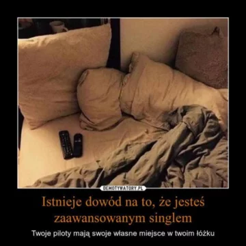 Mem na Dzień Singla 