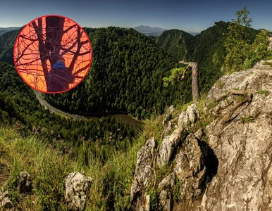 Miniatura: Ten polski szczyt zachwyca turystów. Nie...