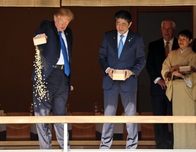 Miniatura: Prezydent Trump karmił rybki. Co mogło...