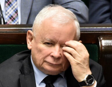 Rozenek zarzuca Kaczyńskiemu hipokryzję. „Sam domaga się, żeby jego...