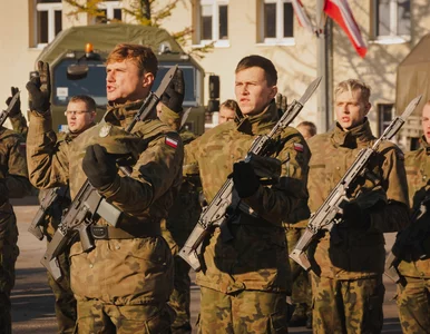 Miniatura: Kryzys na granicy: Wojska Obrony...