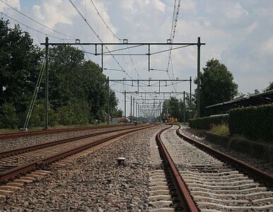 Miniatura: PKP Intercity  inwestuje 38 mln zł w nowe...