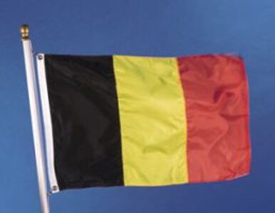 Miniatura: Belgia rezygnuje z tajemnicy bankowej