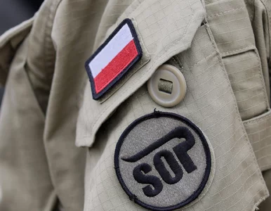 Miniatura: Zamiast dyscyplinarki - wysoka emerytura....