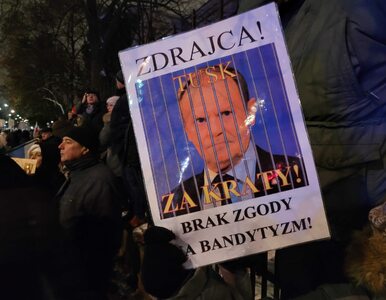 Miniatura: „Protest Wolnych Polaków” wraca. Tym razem...