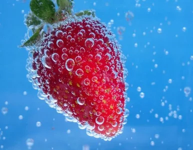 Miniatura: Siedmiu wyróżnionych Polaków w konkursie...