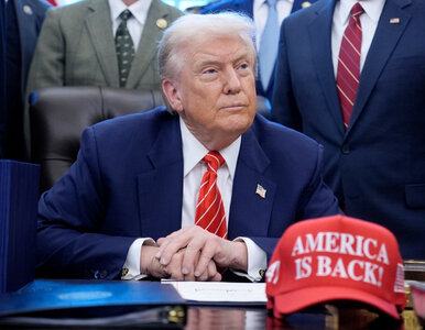 Miniatura: Przyszłość TVN niepewna. Donald Trump...