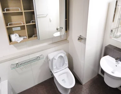 Miniatura: Zmieszaj dwa składniki i wyczyść toaletę....