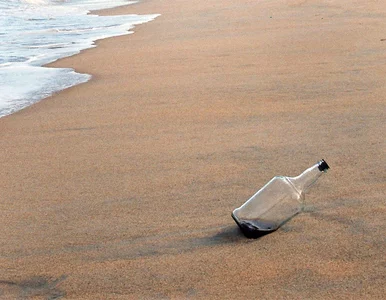 Miniatura: Dlaczego szkocki rząd wrzucił do morza...