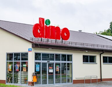 Miniatura: Dino robi ukłon w stronę kawoszy. Na tej...