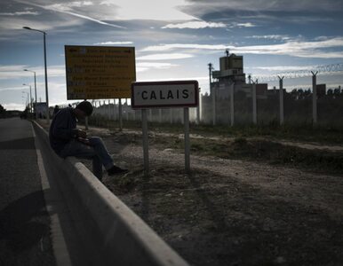 Miniatura: Szturm imigrantów na Eurotunel. Zamknięto...