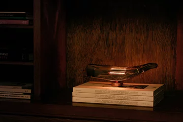 Lampa w kształcie wieloryba Yoshiki Matsuyama v2com, Yoshiki Matsuyama