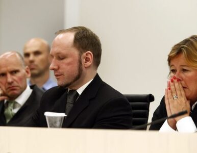 Miniatura: Niedoszłe ofiary Breivika: sprawiedliwości...