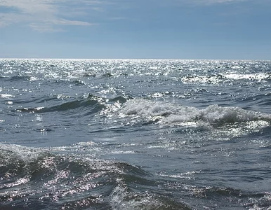 Miniatura: Popłynęli na wyspę-widmo i odkryli, że......