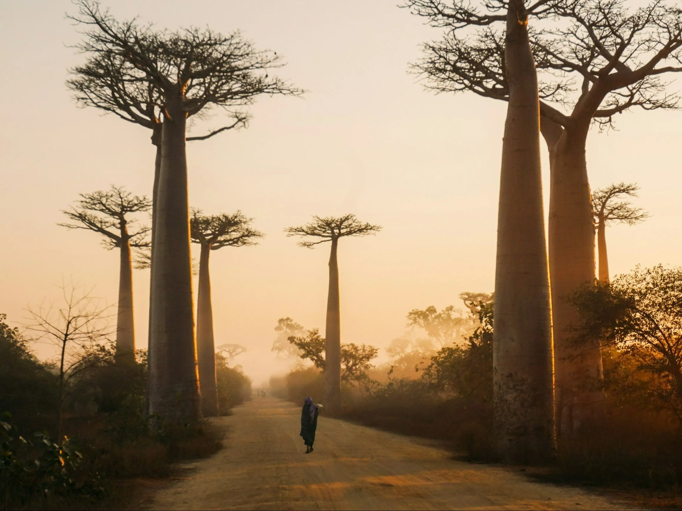 Quiz ze stolic. Jeśli trafisz 100%, chylimy czoła